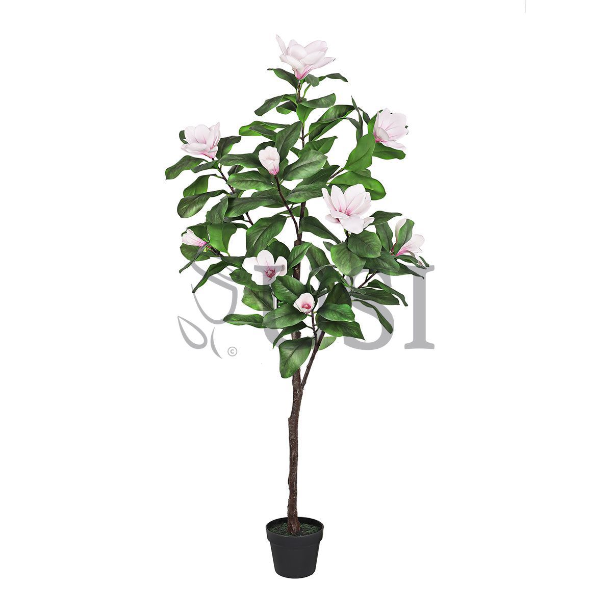 Magnolia Flower Tree Real Touch Potted, 5ft, Pink White