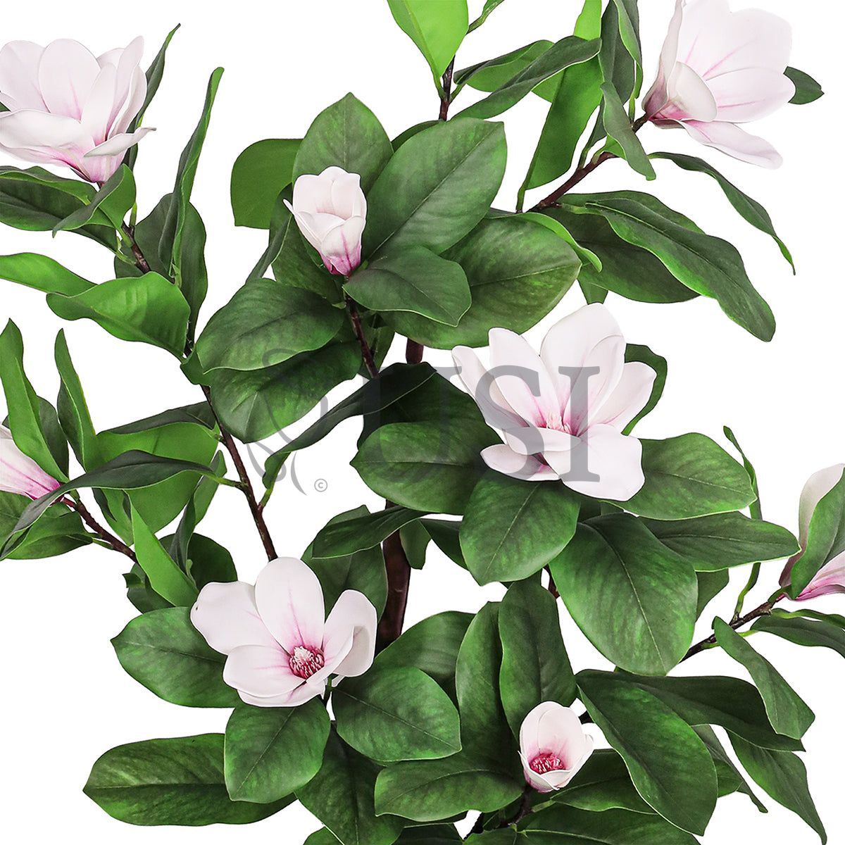 Magnolia Flower Tree Real Touch Potted, 5ft, Pink White