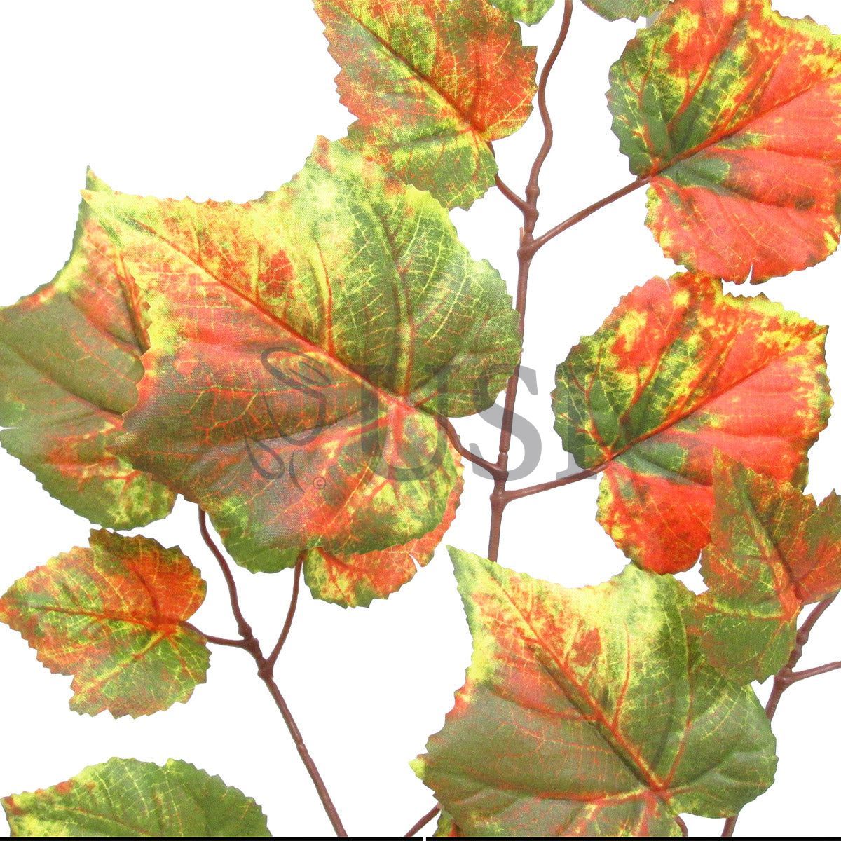 Grape Leaf Spray x 15, 23in, Green Yellow