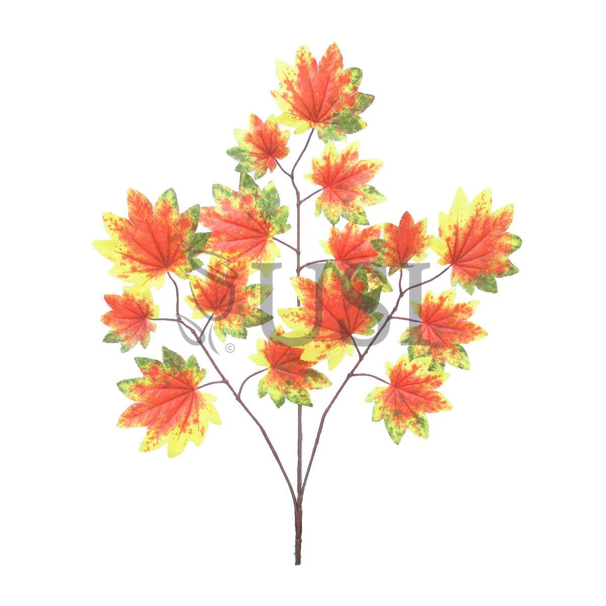 Maple Leaf Spray x 15, 22in, Yellow Green