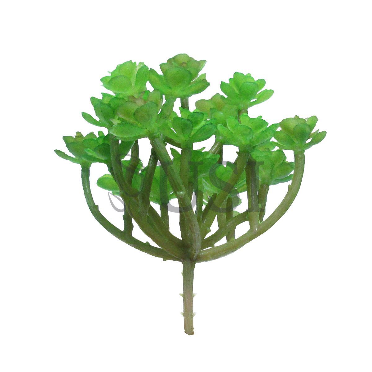 Succulent Flower Stem, 4in, Green Burgundy