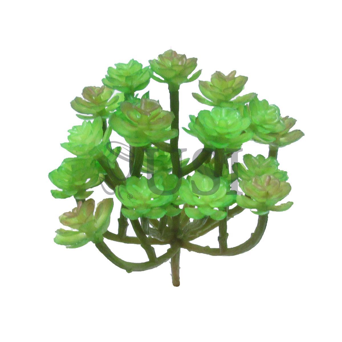 Succulent Flower Stem, 4in, Green Burgundy
