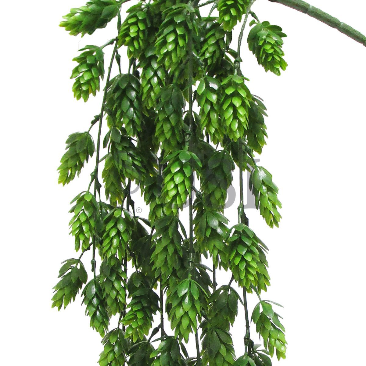 Pine Hanging Spray, 29in, Green