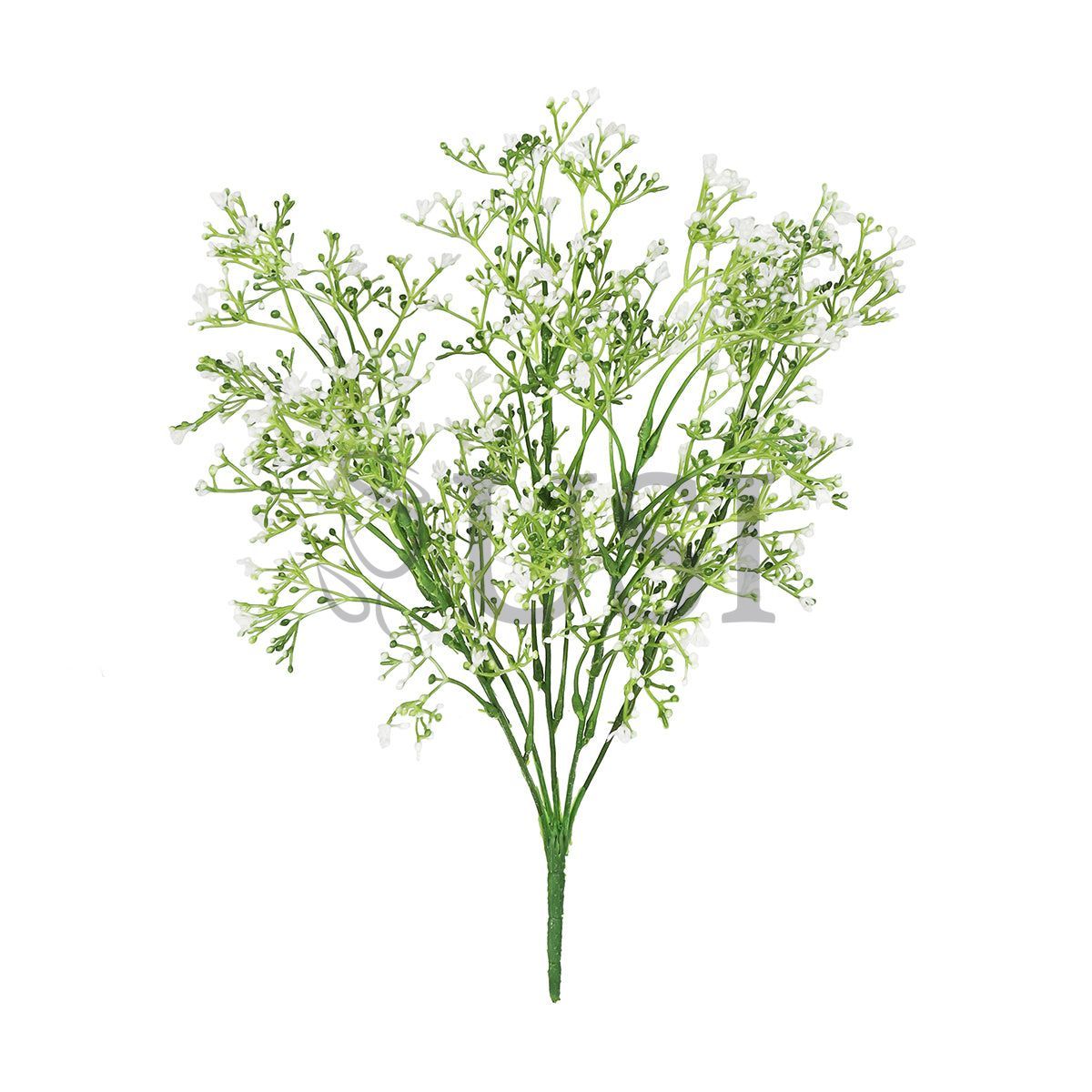 Gypsophila Baby's Breath Bush, 16in, White