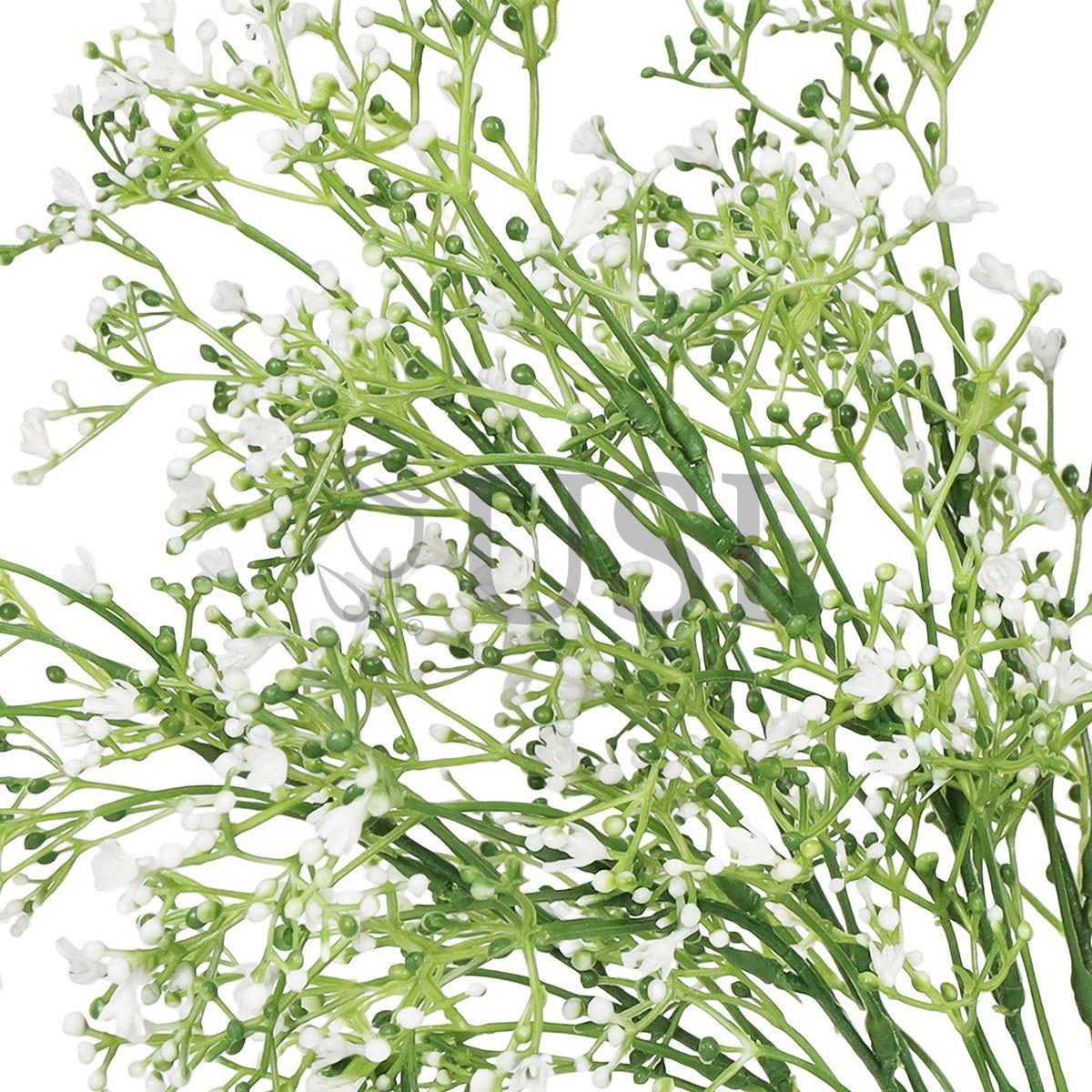 Gypsophila Baby's Breath Bush, 16in, White