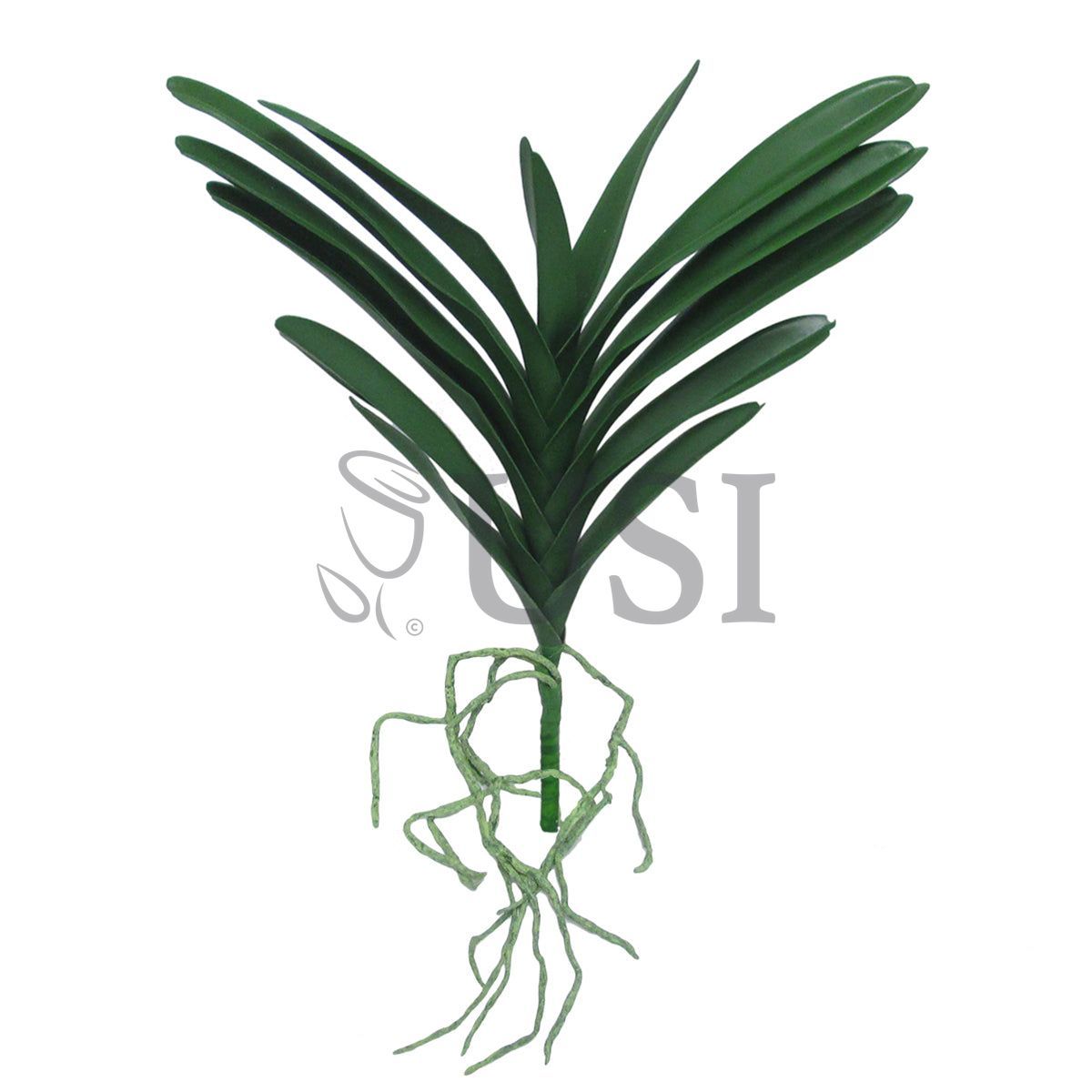 Vanda Orchid Leaf Stem Realistic, 17x18in, Green