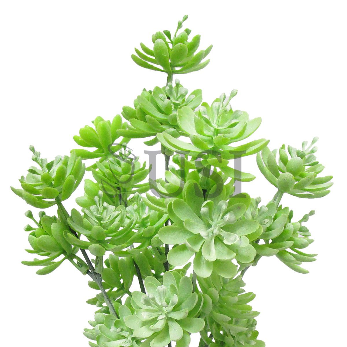 Gem Lotus Succulent Bush Plastic x5, 12in, Frosted Light