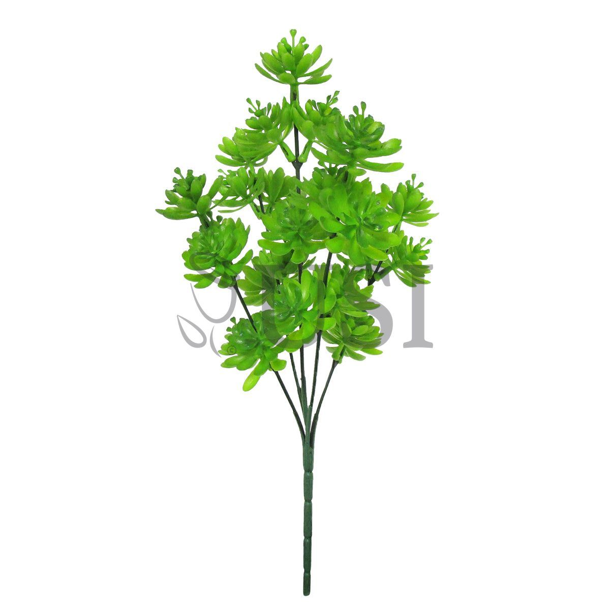 Gem Lotus Succulent Bush Plastic x5, 12in, Green