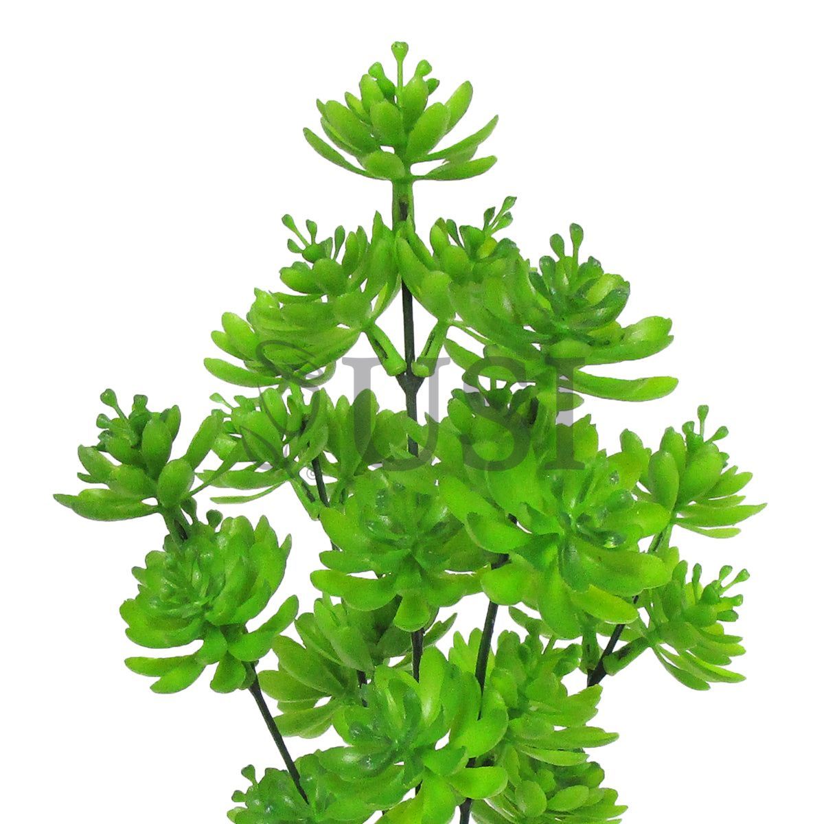 Gem Lotus Succulent Bush Plastic x5, 12in, Green