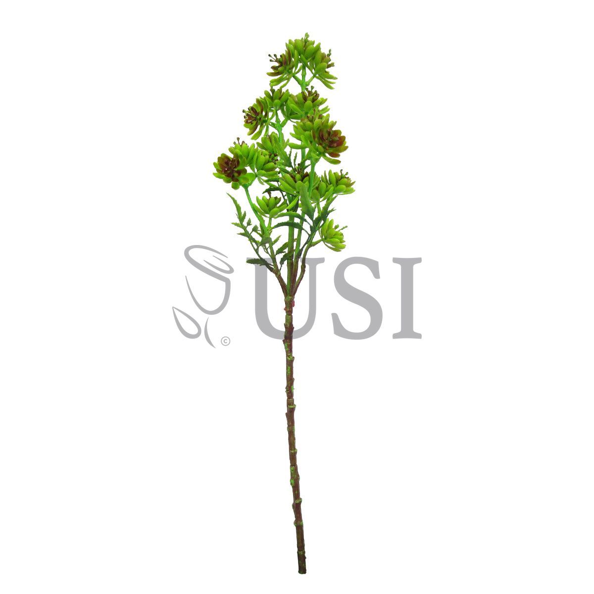 Gem Lotus Succulent Branch Stem Plastic, 22in, Green Burgundy