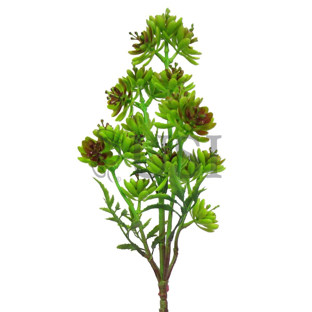 Gem Lotus Succulent Branch Stem Plastic, 22in, Green Burgundy
