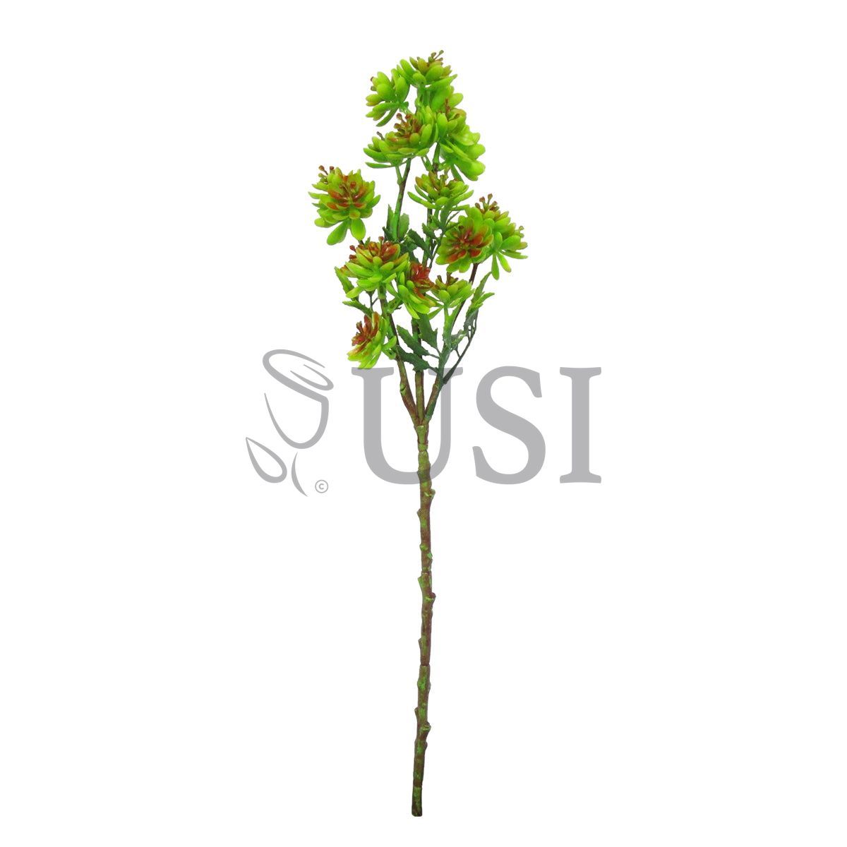 Gem Lotus Succulent Branch Stem Plastic, 22in, Green Red