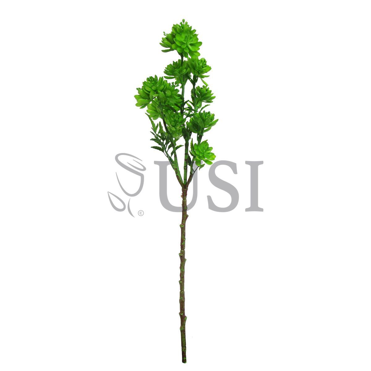 Gem Lotus Succulent Branch Stem Plastic, 22in, Green