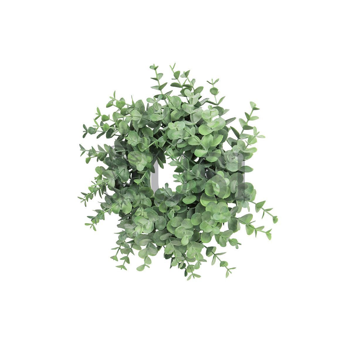 Frosted Eucalyptus Leaf Wreath Plastic, 11in, Frosted Green