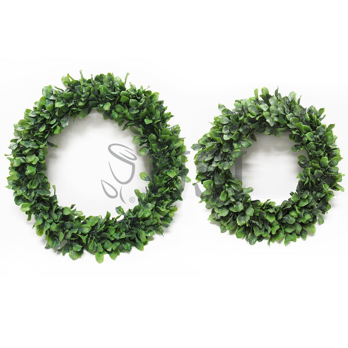 Lamb's Ear Leaf Wreath, 20in, Frosted Green
