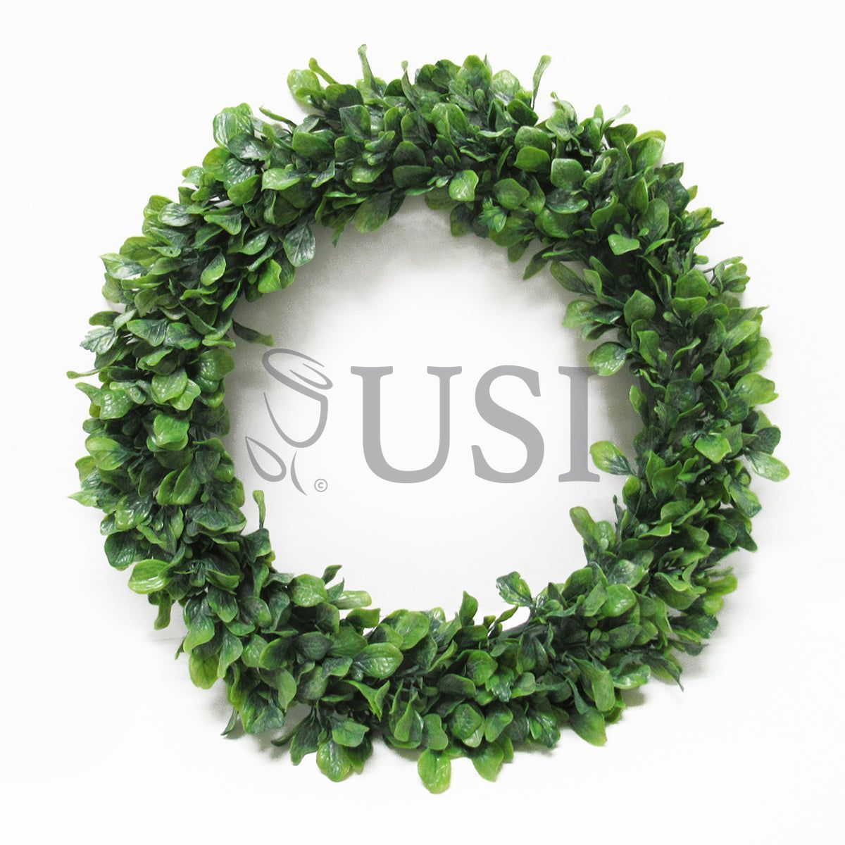 Lamb's Ear Leaf Wreath, 20in, Frosted Green