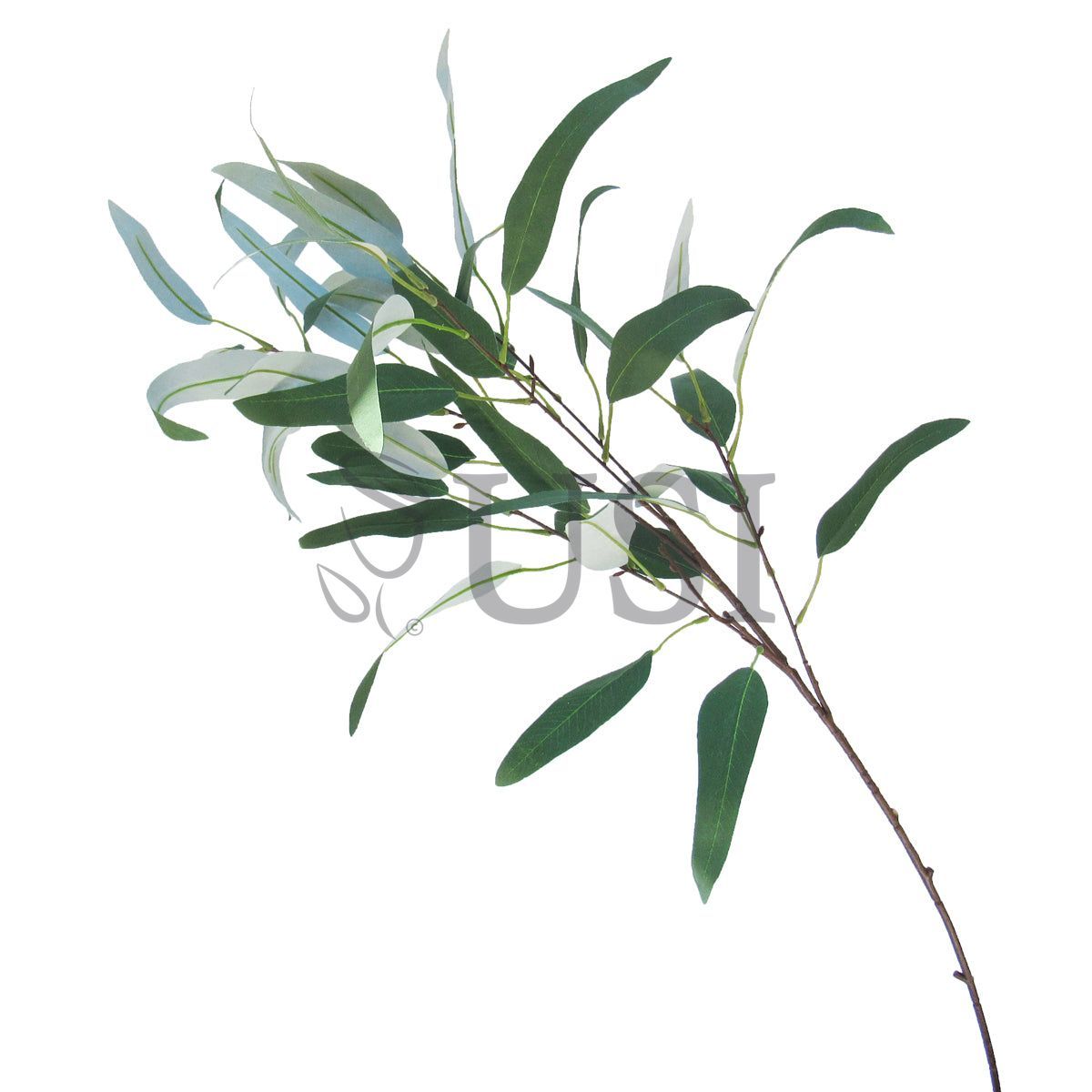 Long Willow Eucalyptus Spray, 38in, Frosted Green