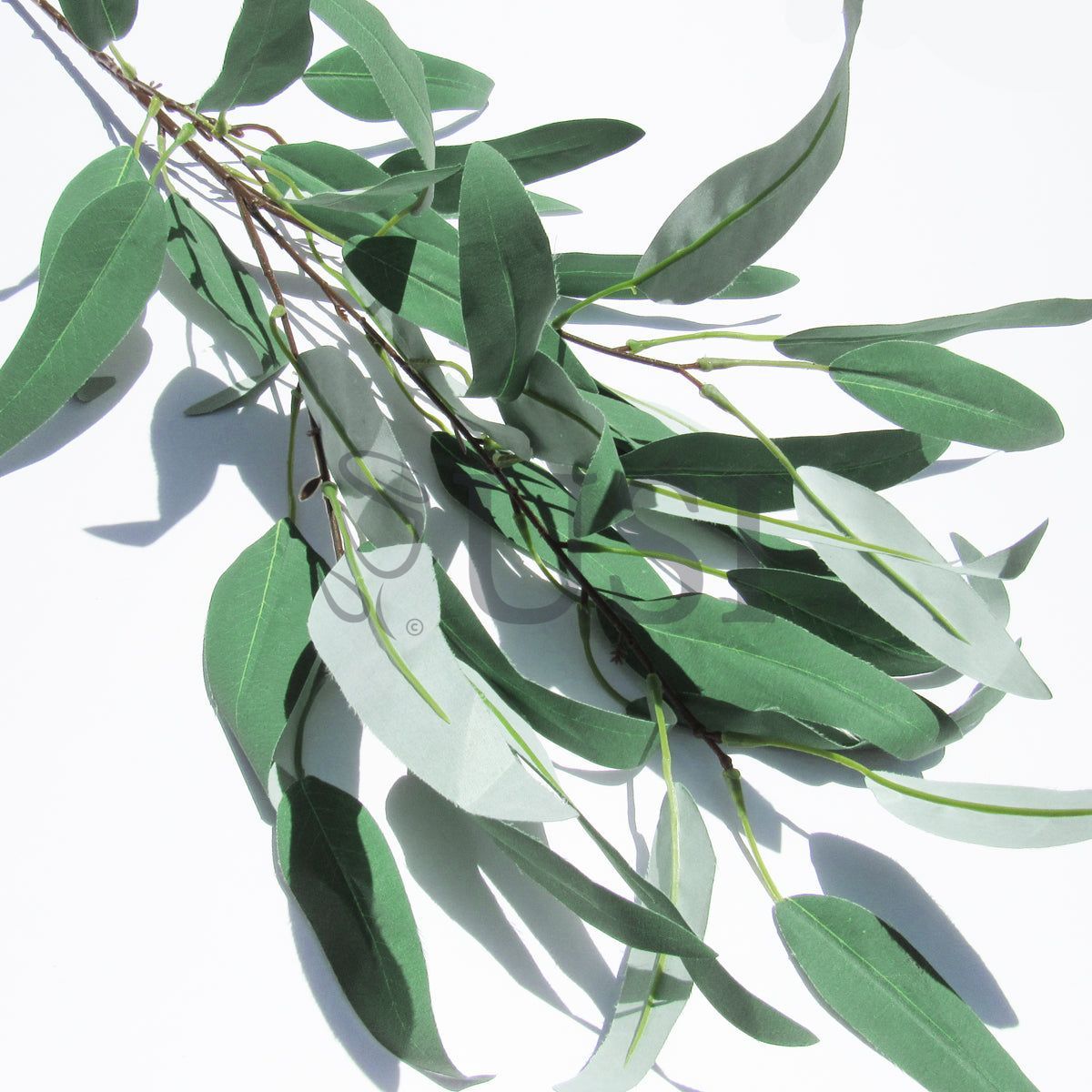 Long Willow Eucalyptus Spray, 38in, Frosted Green