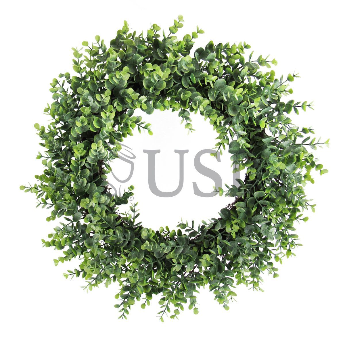 Frosted Eucalyptus Wreath w Twig Ring, 20in, Frosted Green
