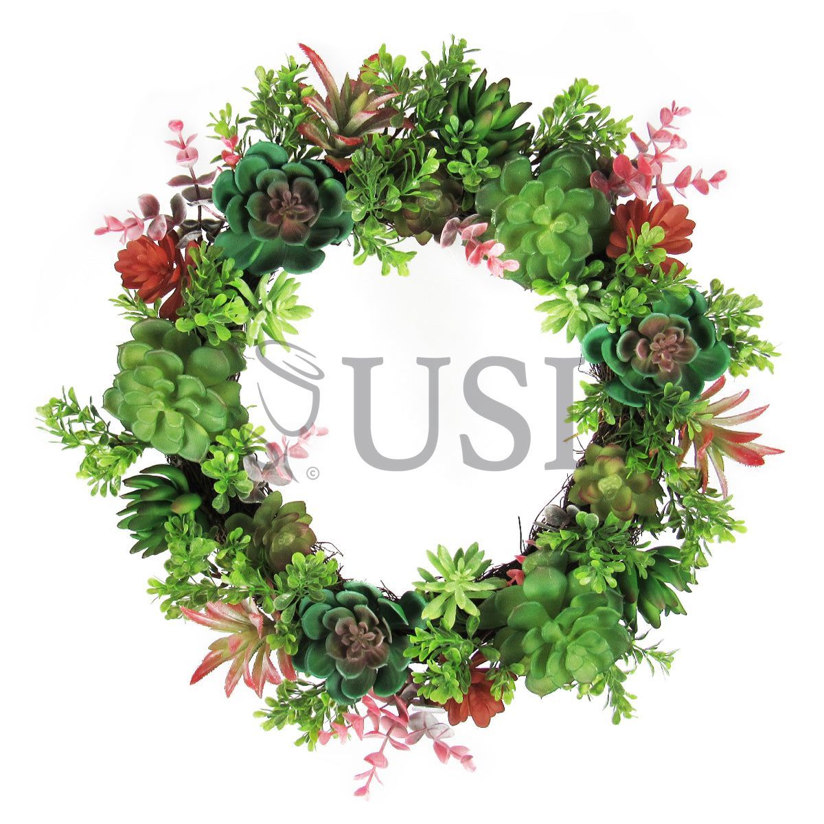 Mixed Succulent Boxwood Wreath, 18in, Green Burgundy