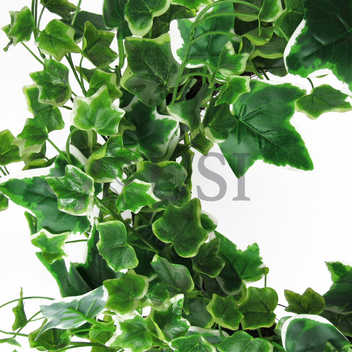Ivy Foliage Leaf Wreath, 22in, Variegated
