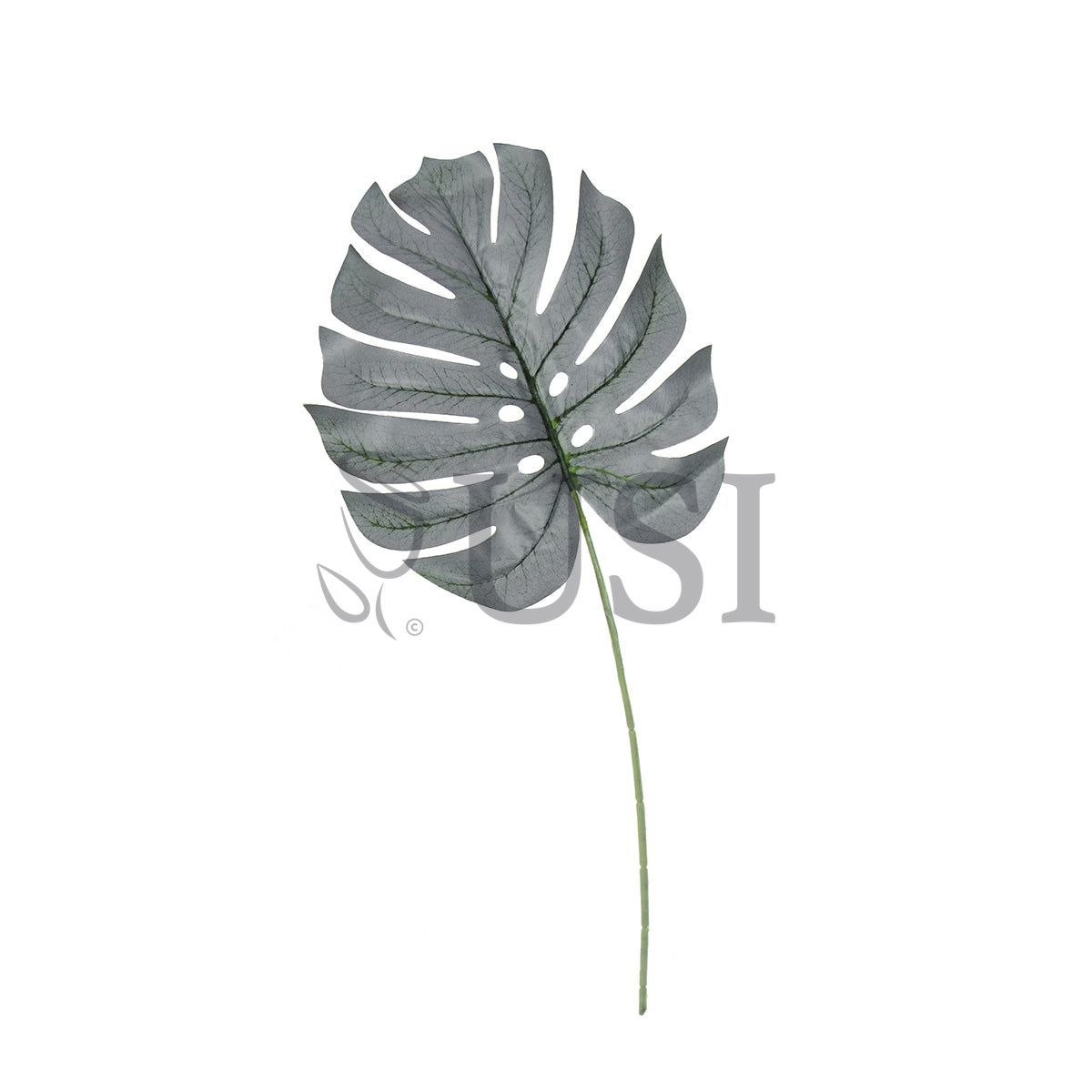 Split Leaf Philodendron Monstera Stem Small Leaf, 24in, Frosted Green