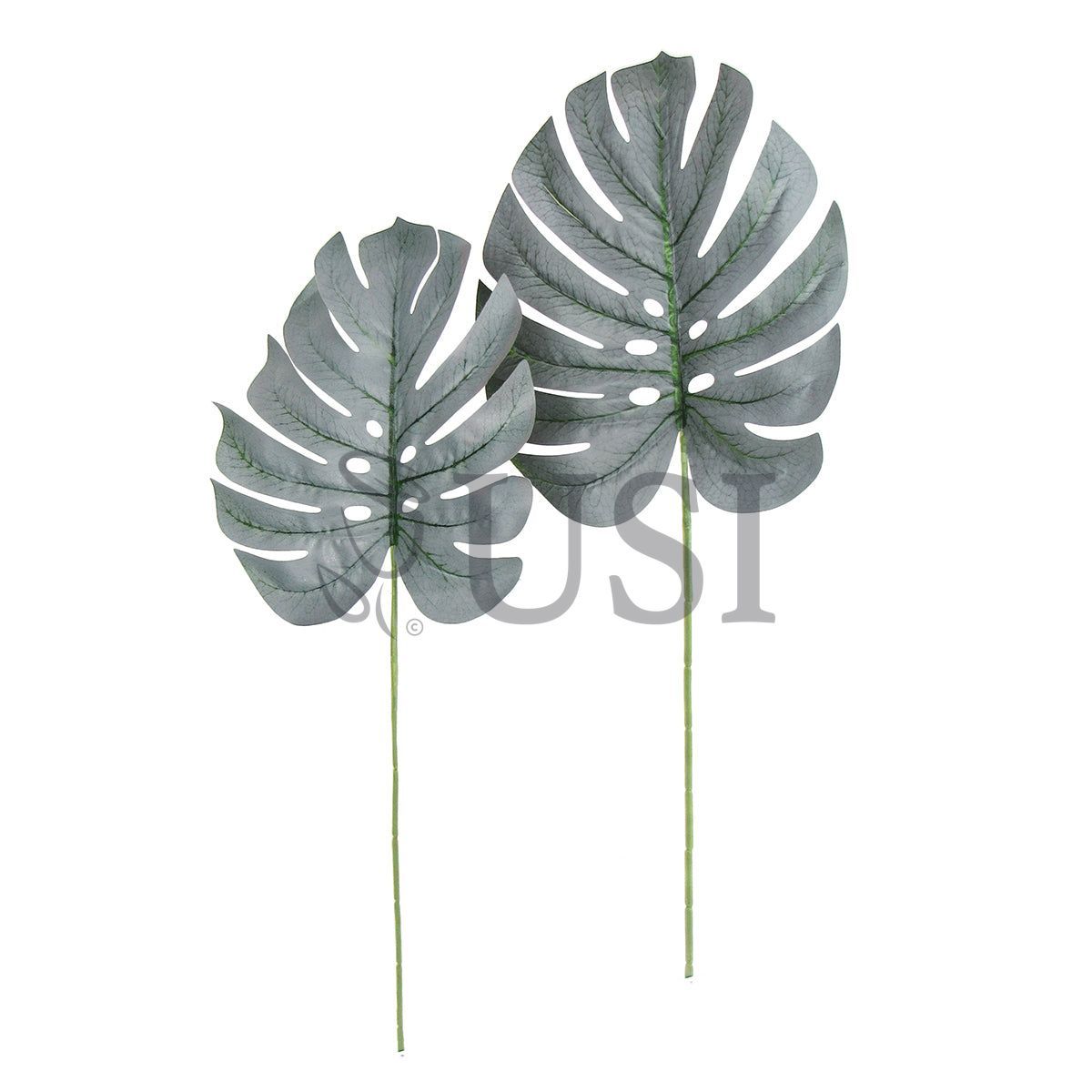 Split Leaf Philodendron Monstera Stem Small Leaf, 24in, Frosted Green
