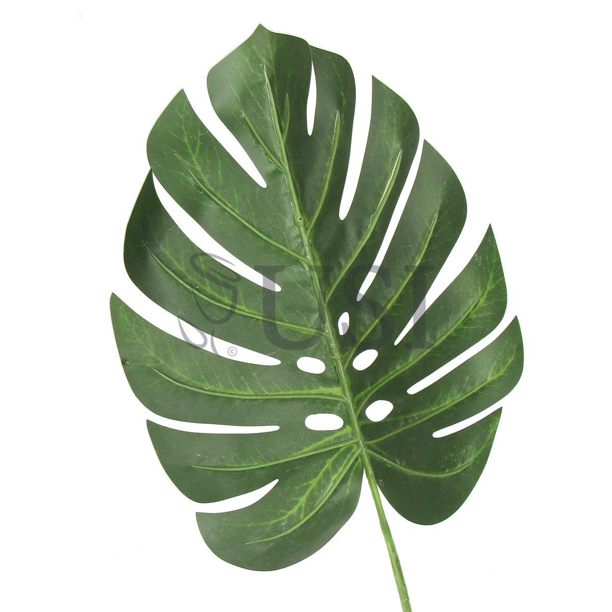 Split Leaf Philodendron Monstera Stem Medium Leaf, 28in, Frosted Green