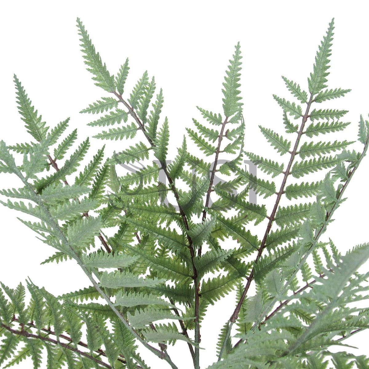 Leather Fern Greenery Bush Plastic x13, 20in, Frosted Green