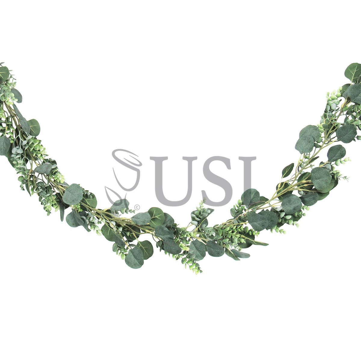 Mixed Spiral Silver Dollar Eucalyptus Greenery Garland, 6ft, Frosted Green
