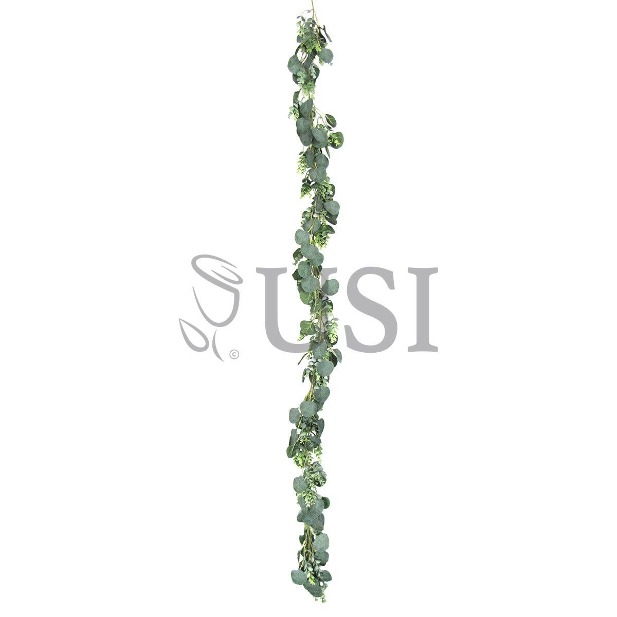 Mixed Spiral Silver Dollar Eucalyptus Greenery Garland, 6ft, Frosted Green