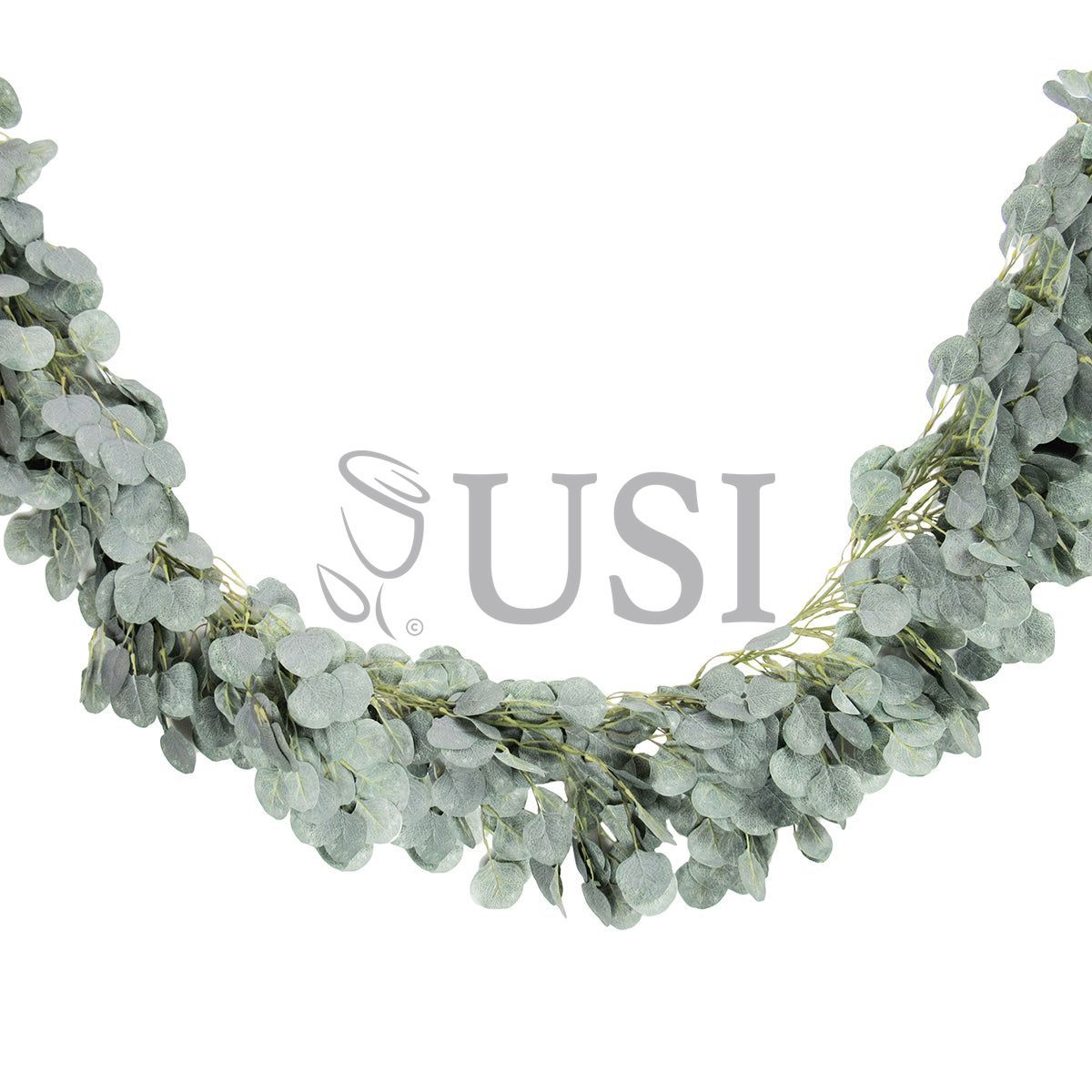 Frosted Full Silver Dollar Eucalyptus Greenery Garland, 6ft, Frosted Green