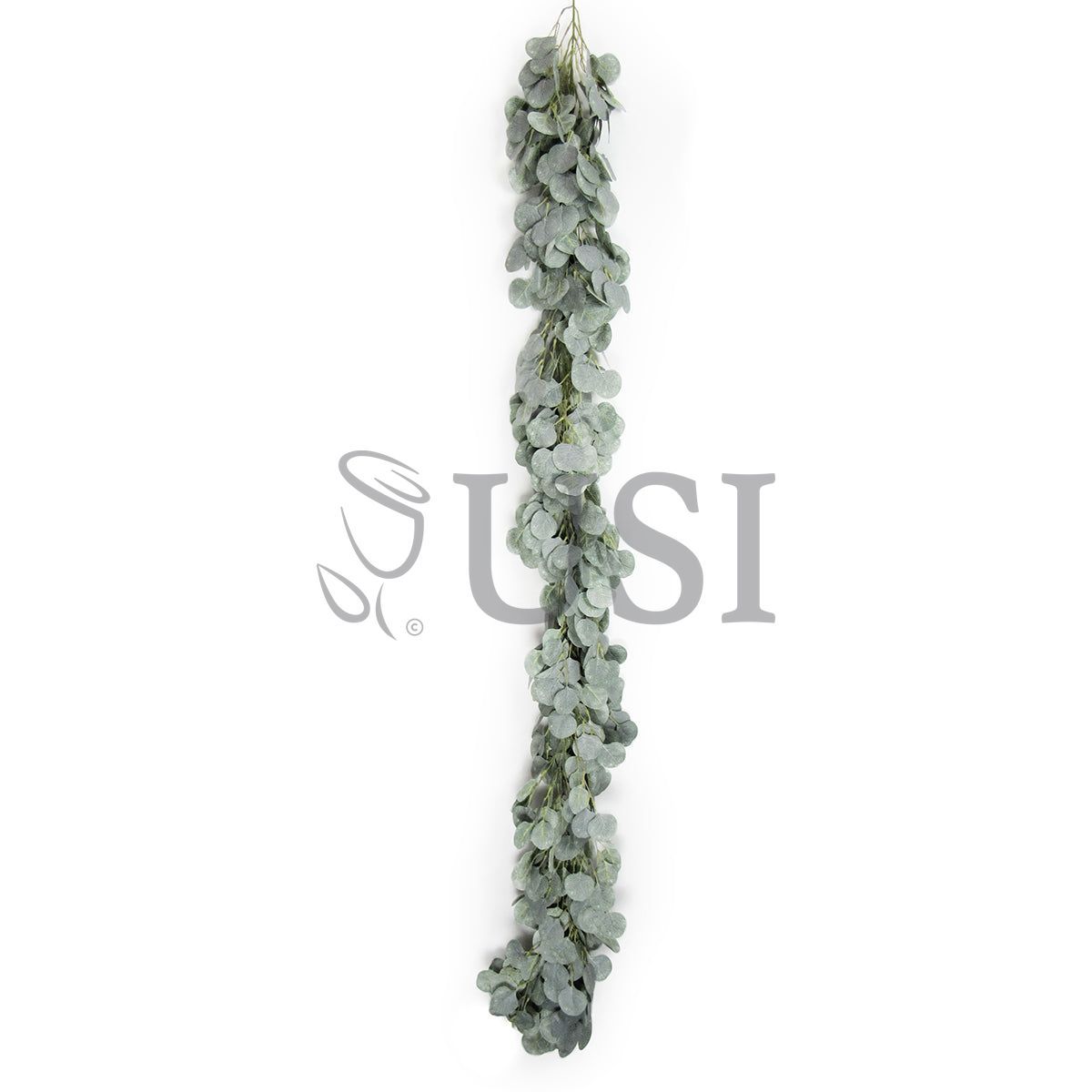 Frosted Full Silver Dollar Eucalyptus Greenery Garland, 6ft, Frosted Green