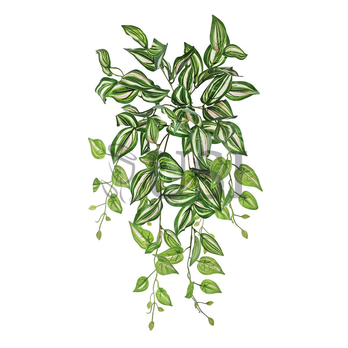 Tradescantia Spiderwort Ivy Hanging Greenery Bush, 24in, Green