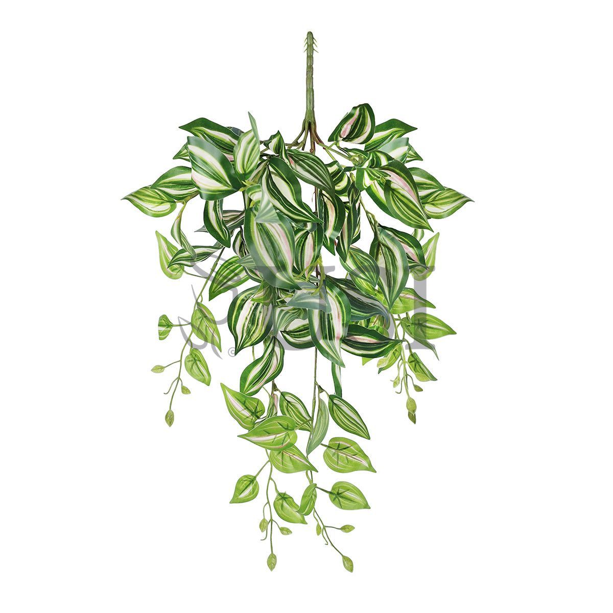Tradescantia Spiderwort Ivy Hanging Greenery Bush, 24in, Green