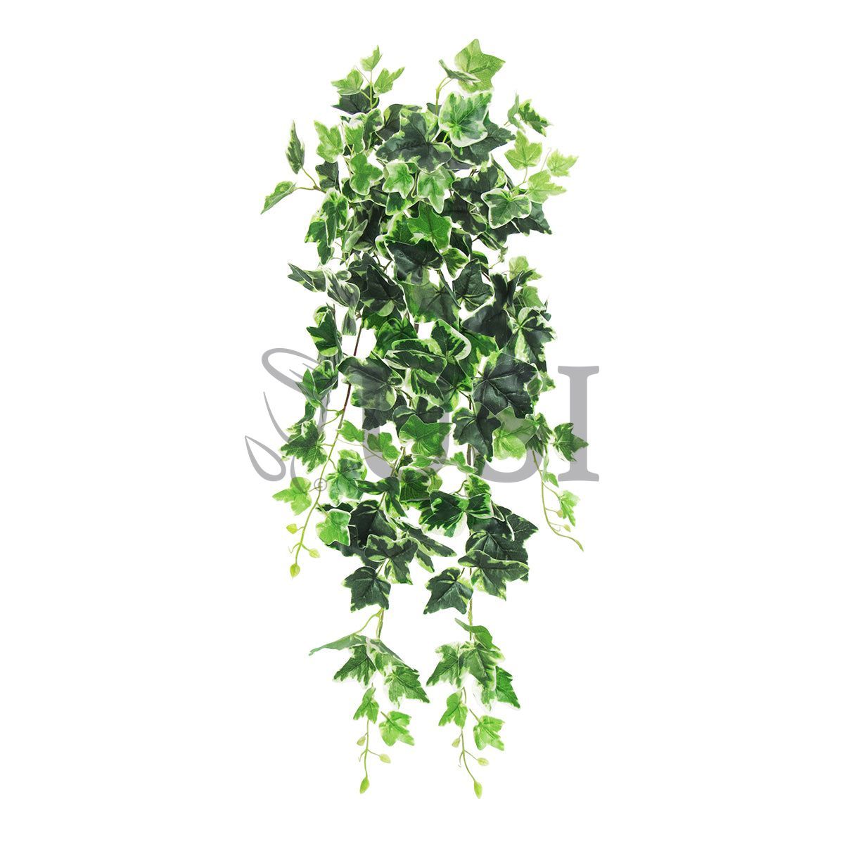 Variegated English Ivy Hanging Greenery Bush, 32in, Variegated
