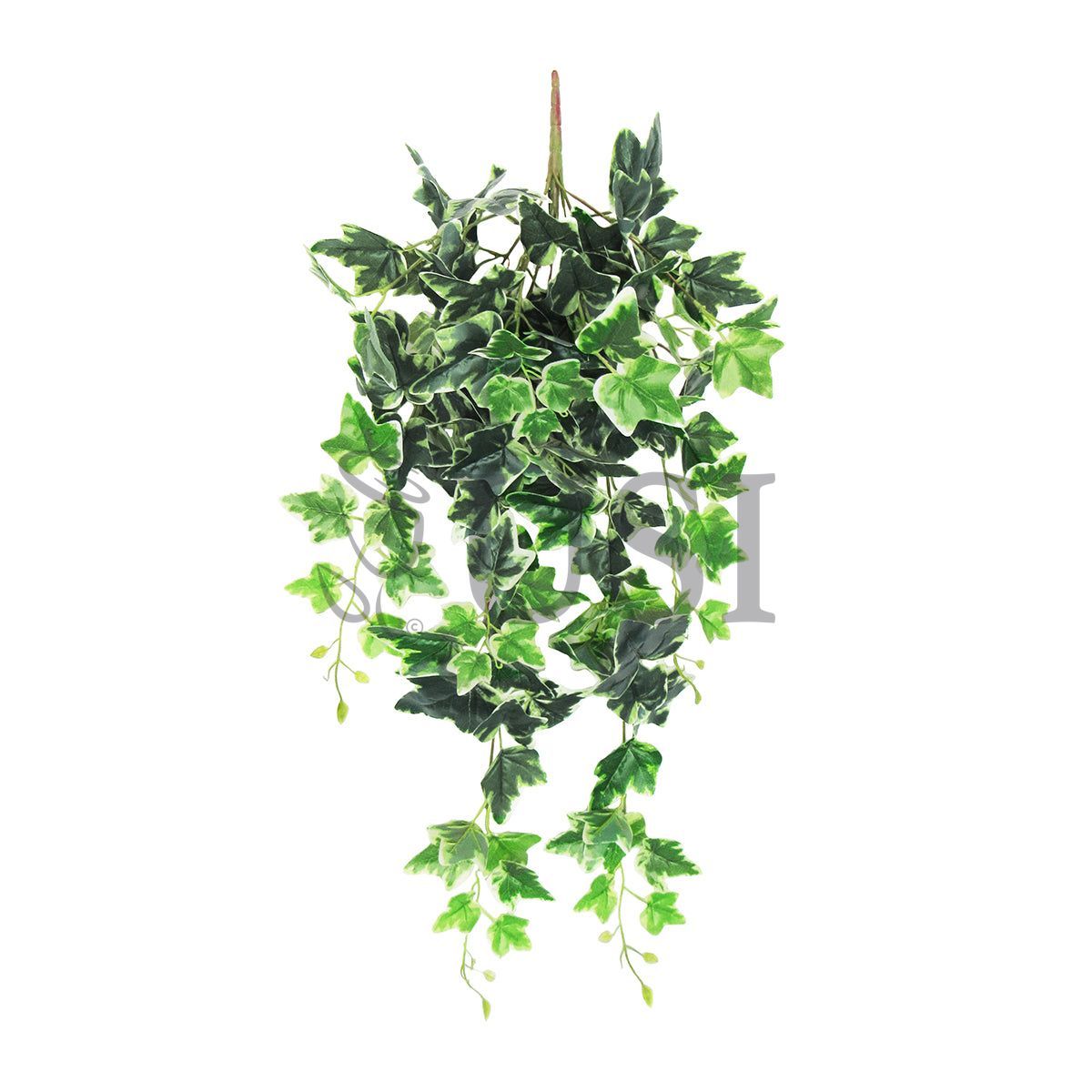Variegated English Ivy Hanging Greenery Bush, 32in, Variegated