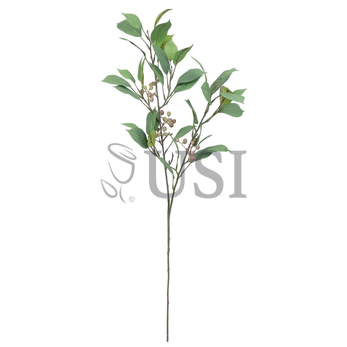 Frosted Ficus Leaf Greenery Spray w Berries, 38in, Frosted Green