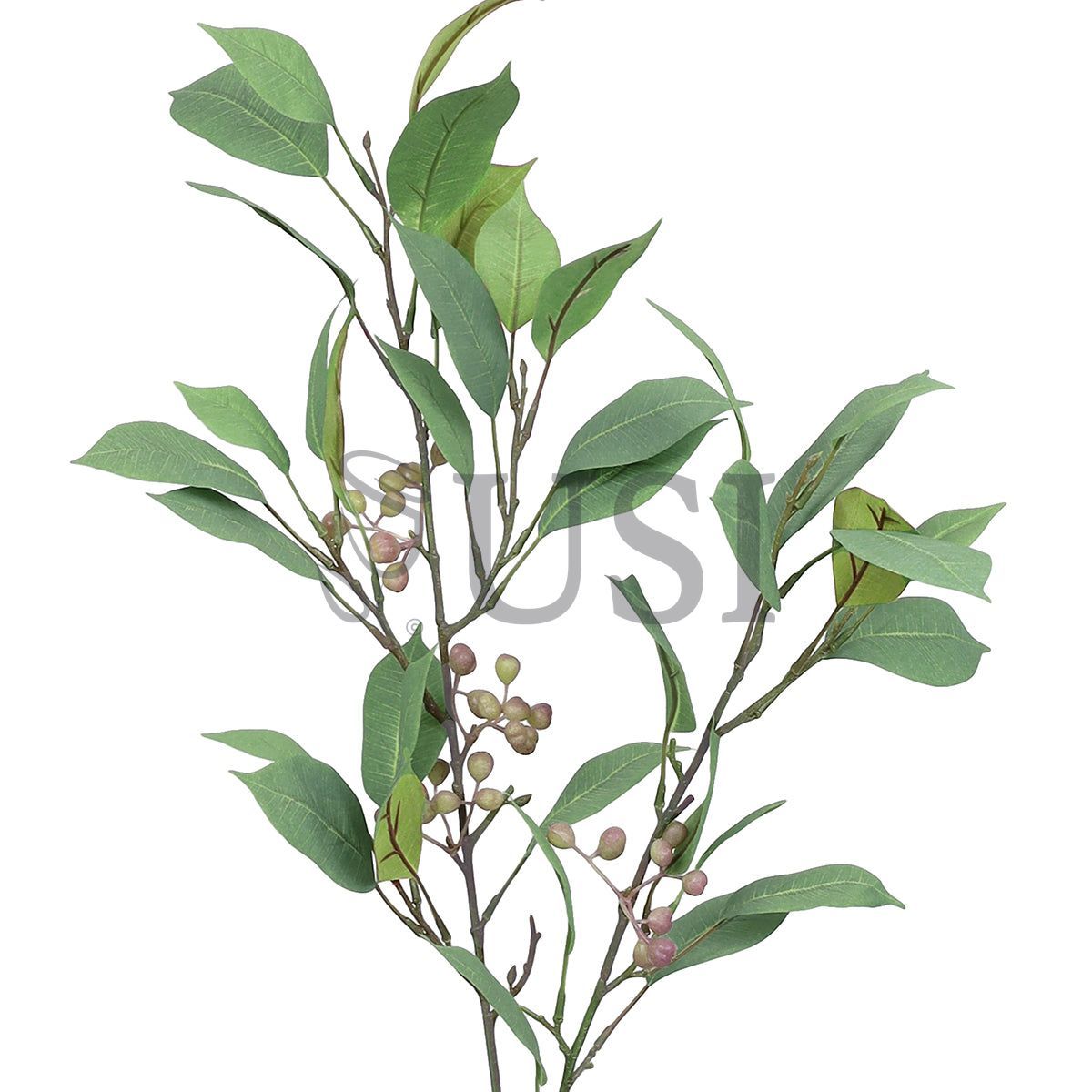 Frosted Ficus Leaf Greenery Spray w Berries, 38in, Frosted Green