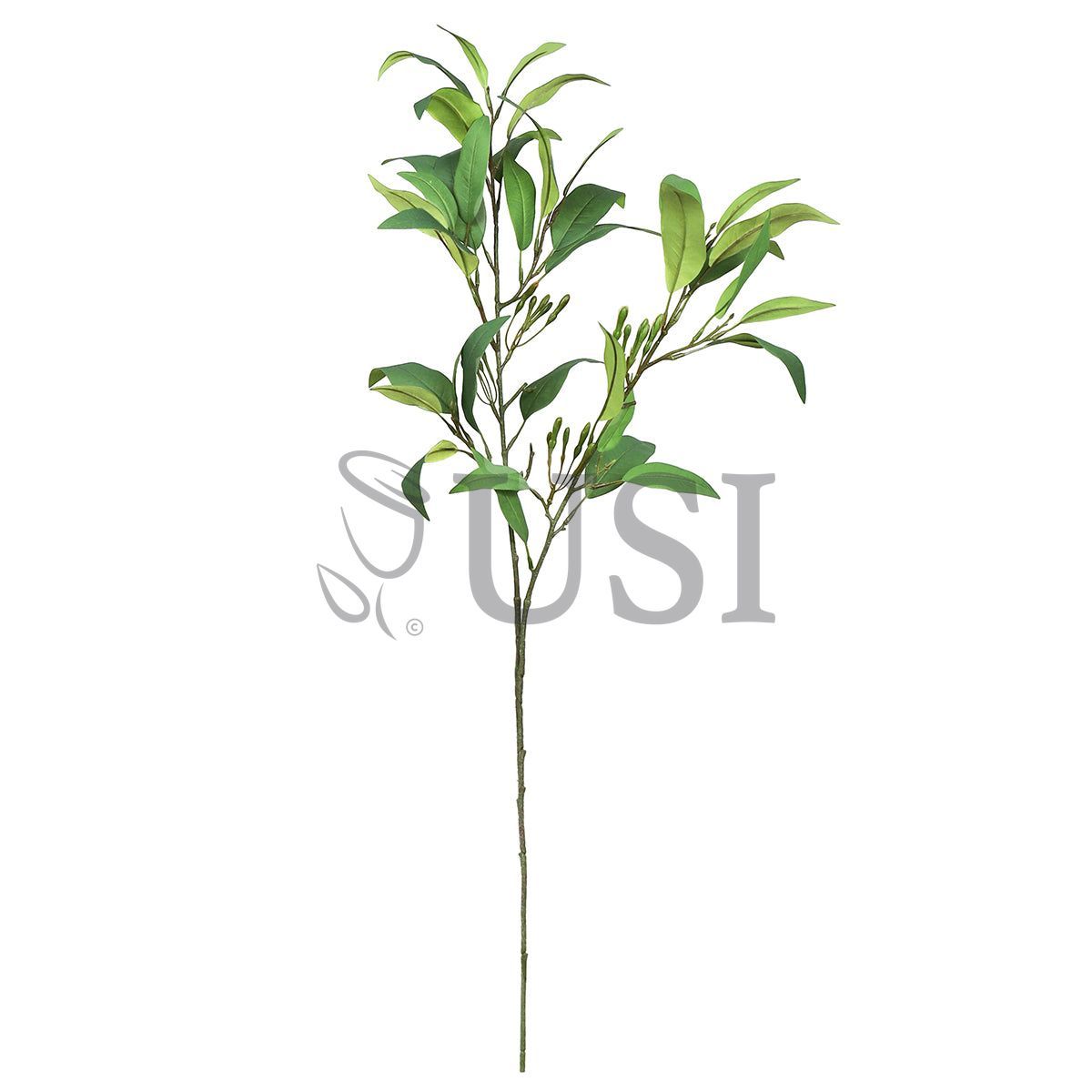 Willow Leaf Greenery Spray w Buds, 38in, Green