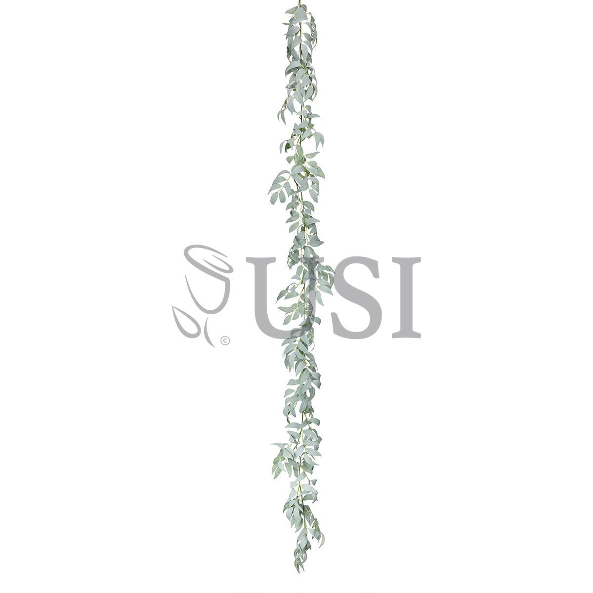 Willow Leaf Greenery Garland, 6ft, Frosted Green