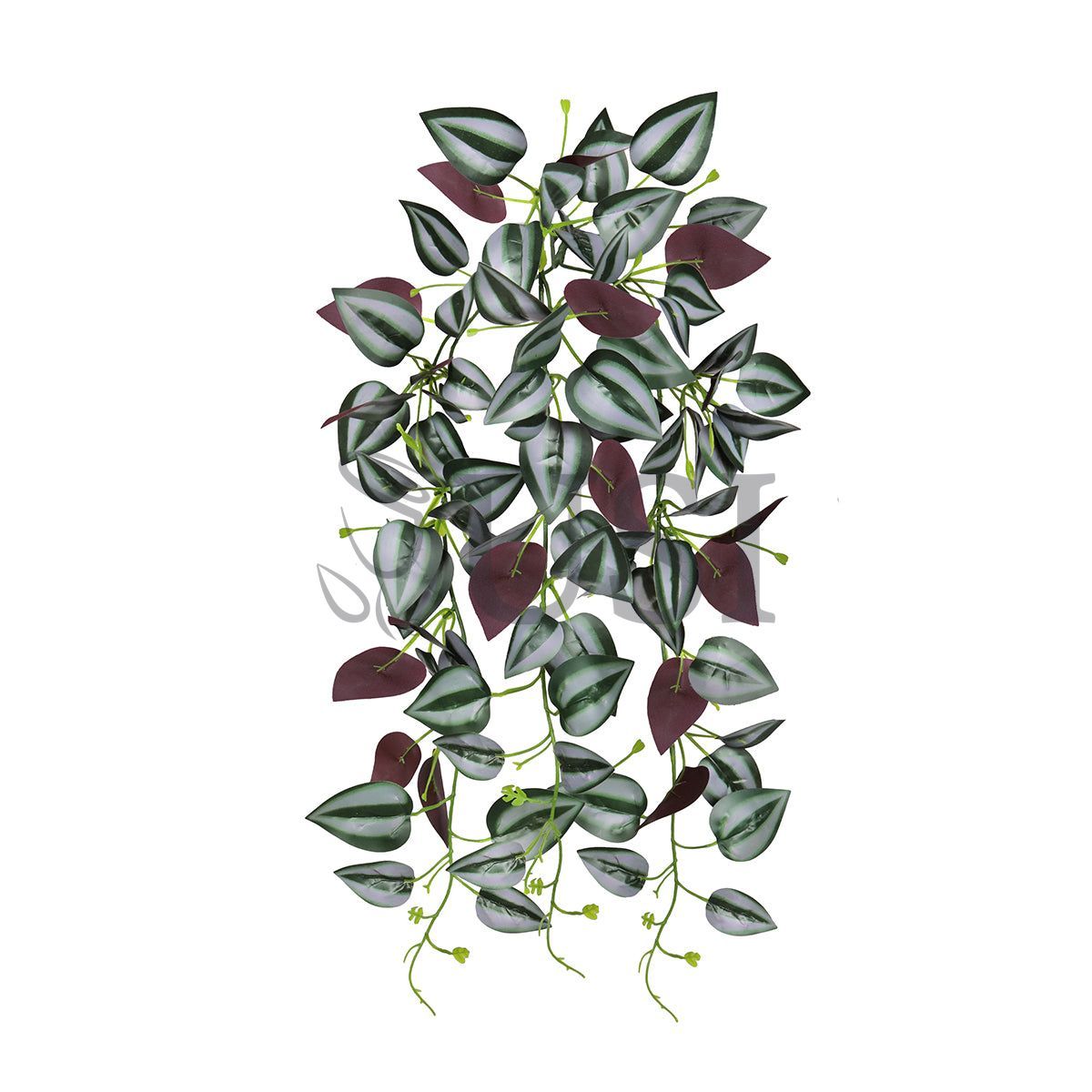 Tradescantia Spiderwort Vine Hanging Greenery Bush x3, 27in, Purple