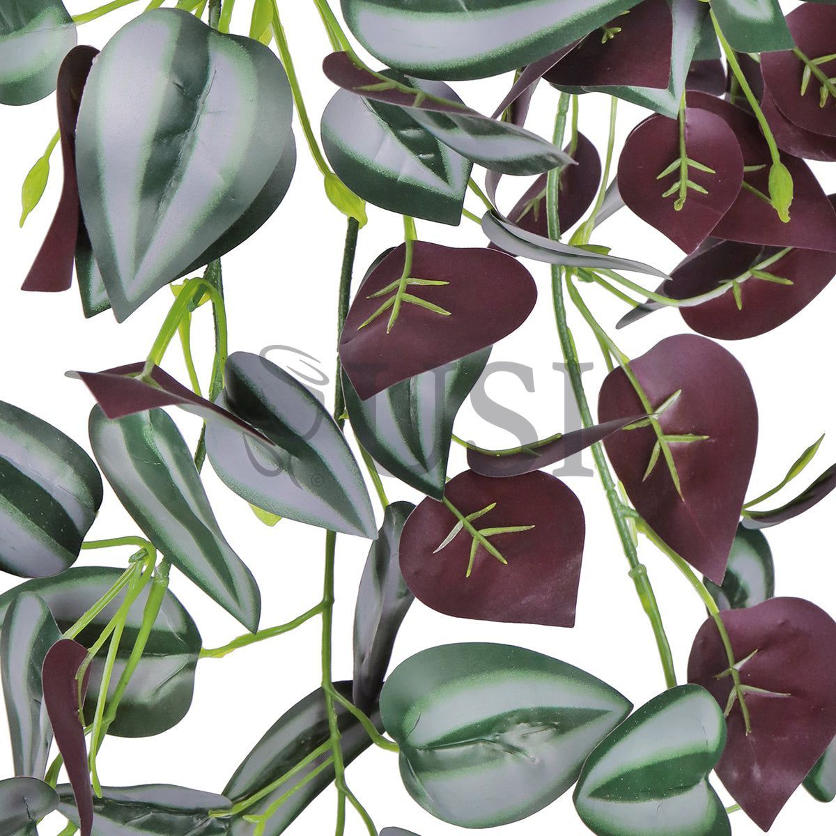 Tradescantia Spiderwort Vine Hanging Greenery Bush x3, 27in, Purple