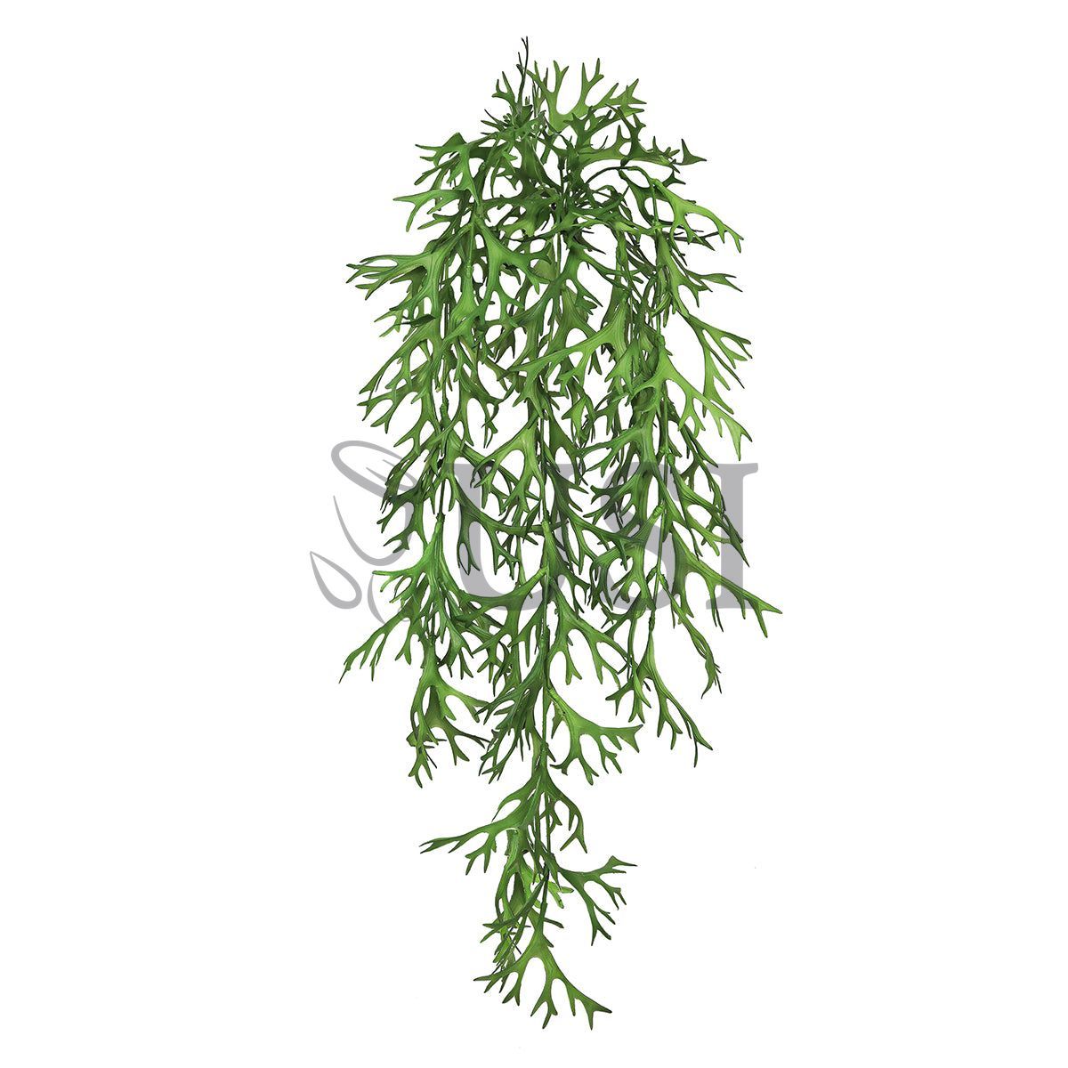 Staghorn Hanging Greenery Bush, 32in, Green