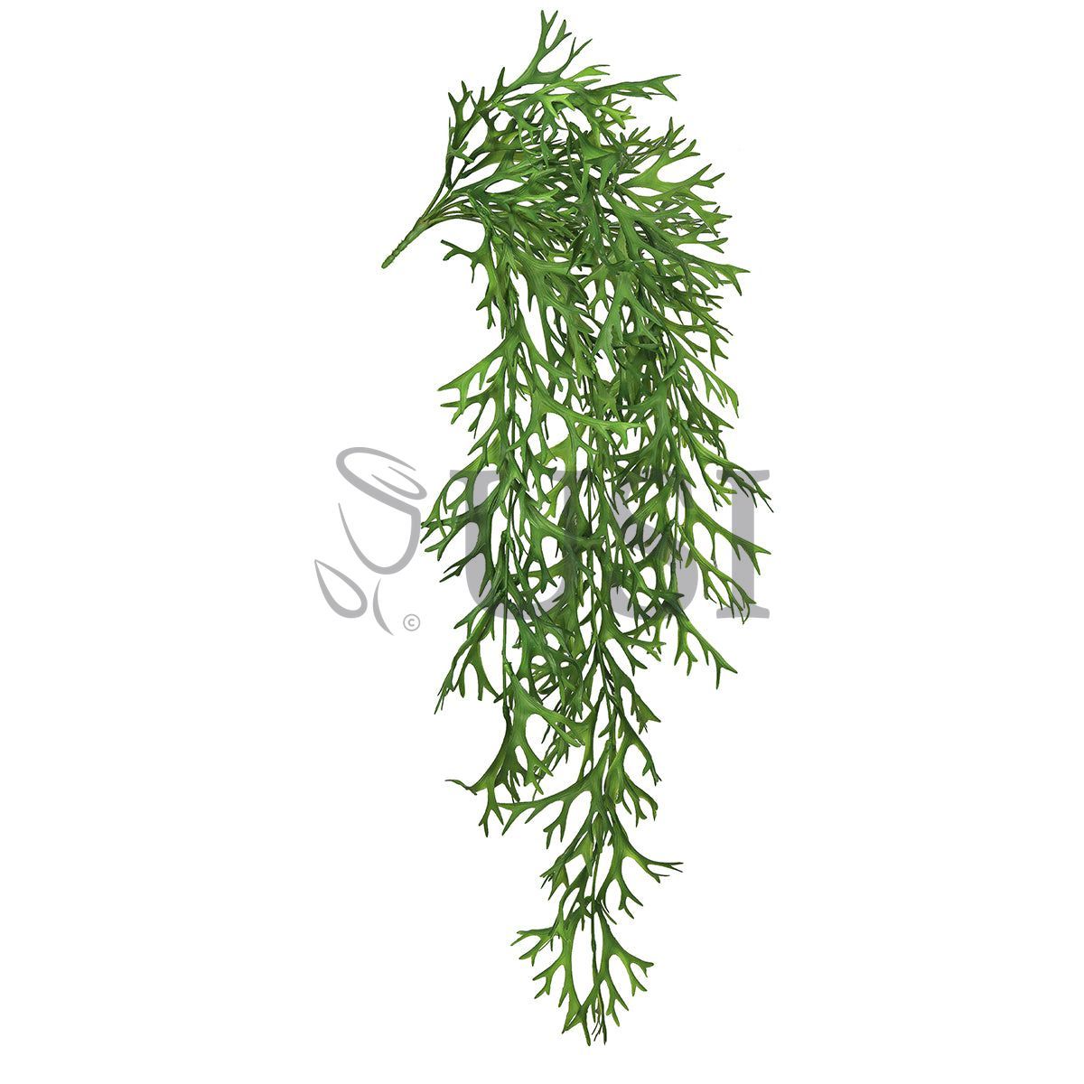 Staghorn Hanging Greenery Bush, 32in, Green