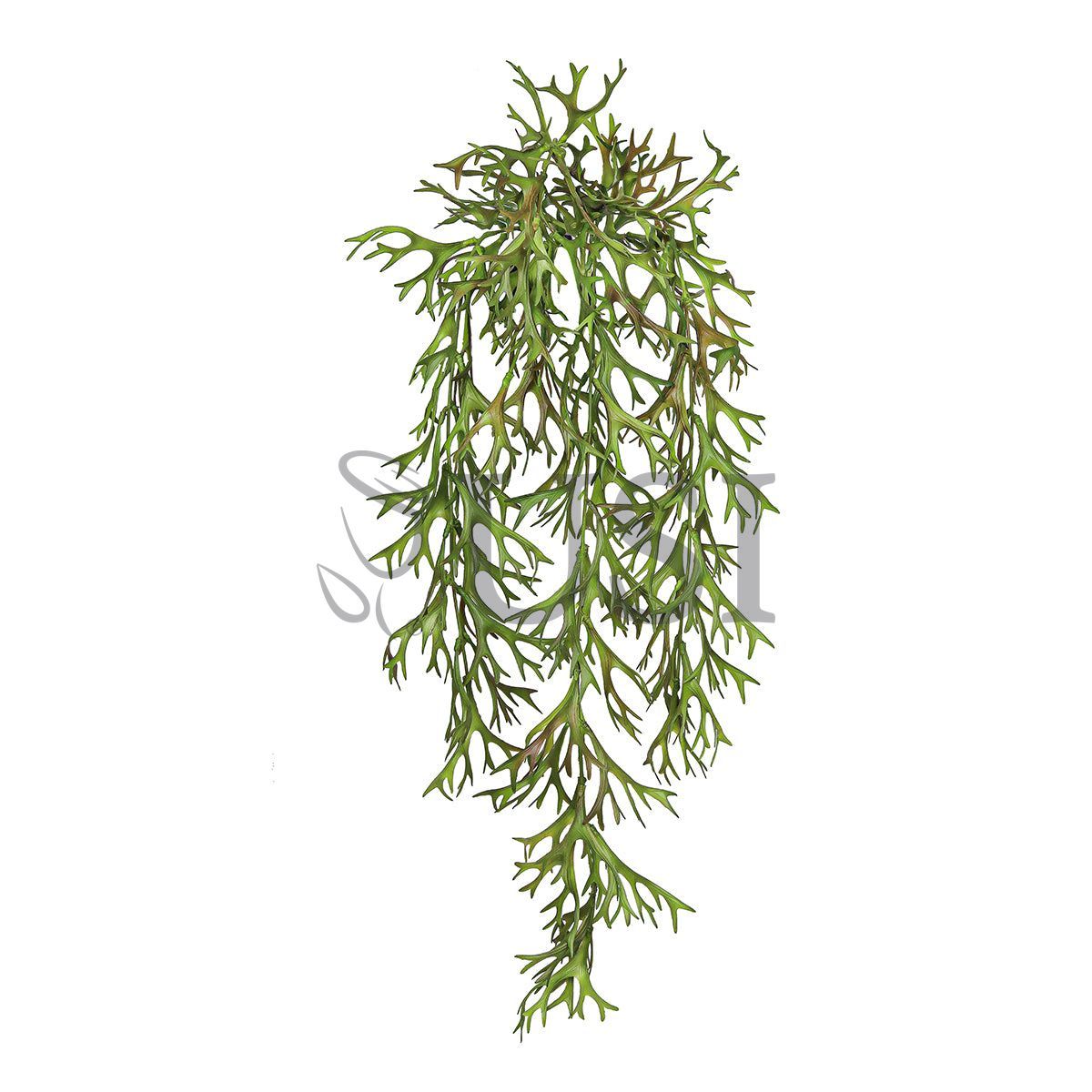 Staghorn Hanging Greenery Bush, 32in, Green Brown