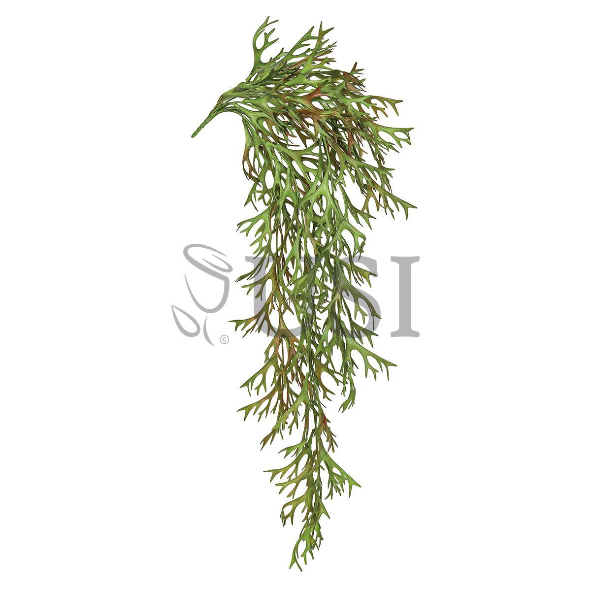 Staghorn Hanging Greenery Bush, 32in, Green Brown