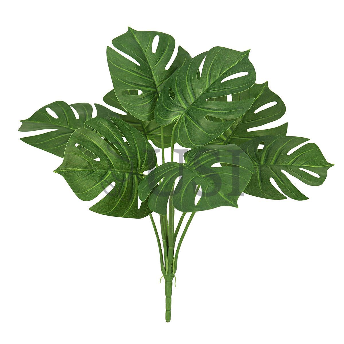 Split Leaf Philodendron Monstera Greenery Bush x8, 22in, Green
