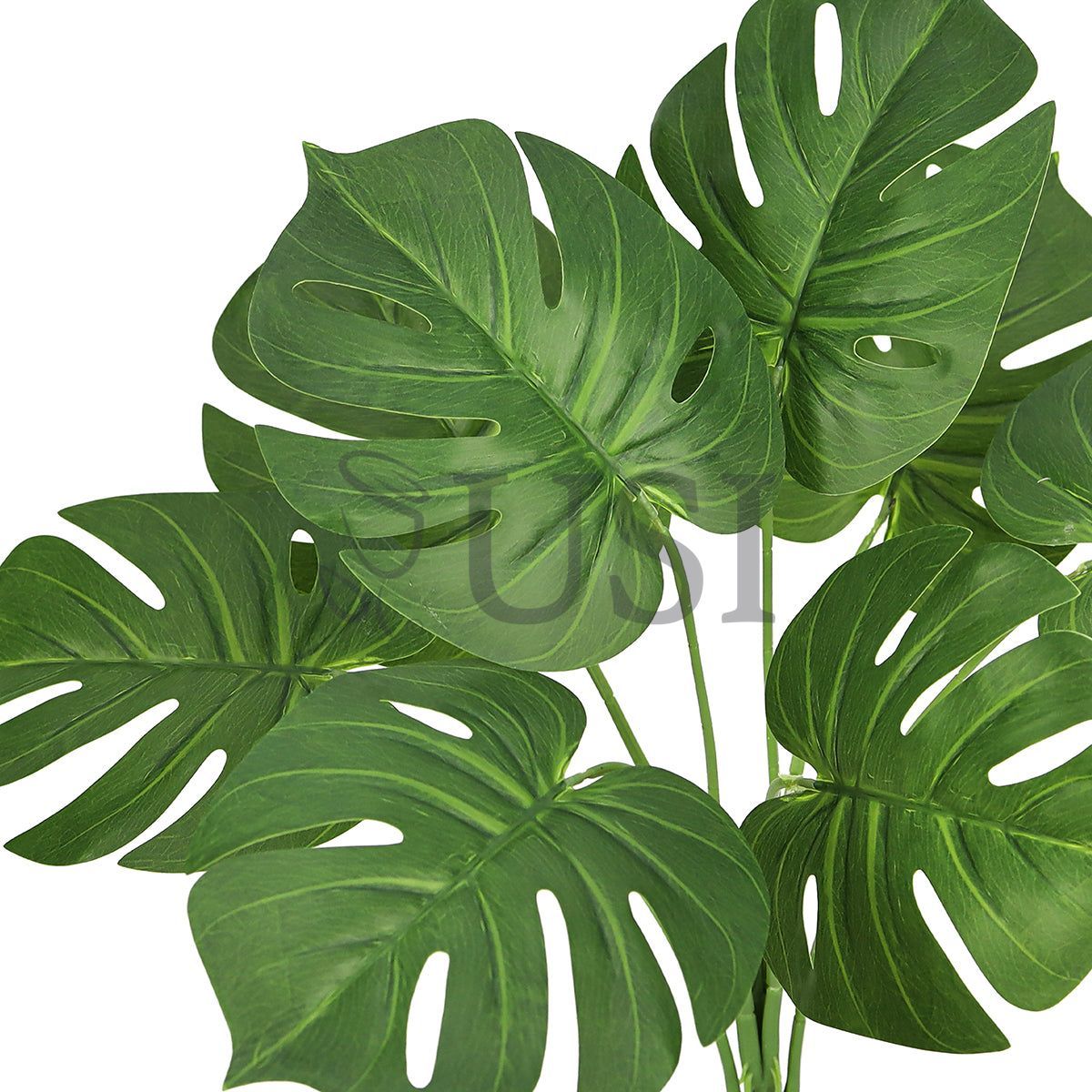 Split Leaf Philodendron Monstera Greenery Bush x8, 22in, Green