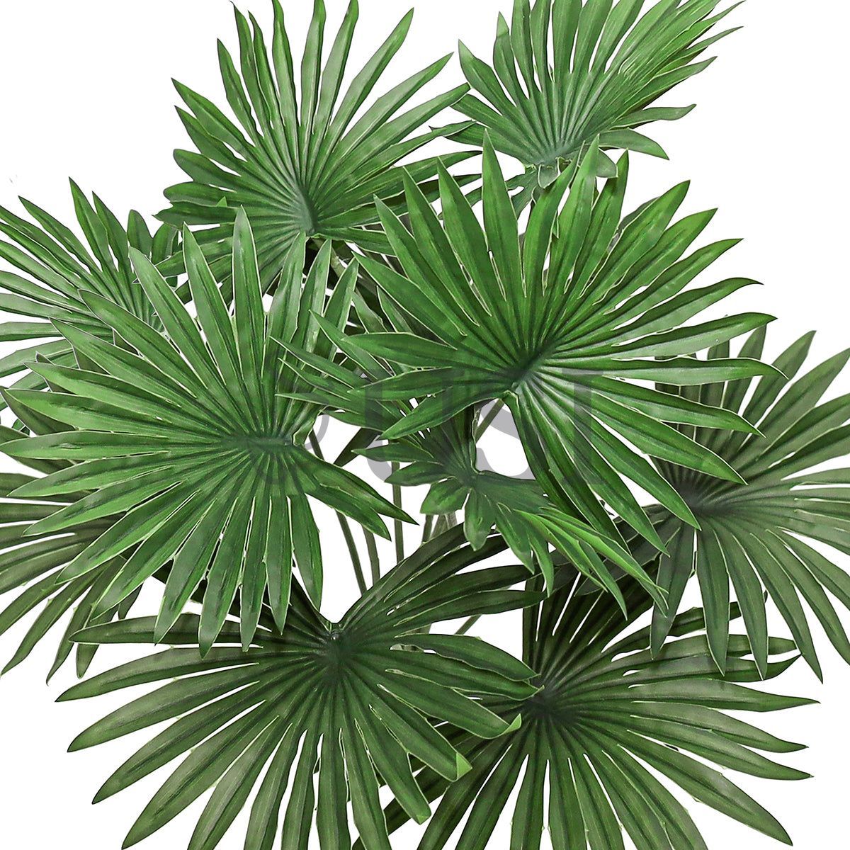 Young Fan Palm Leaf Greenery Bush Real Touch x12, 16in, Green